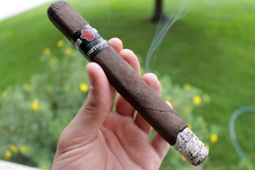 Surrogates Satin Glove cigar review