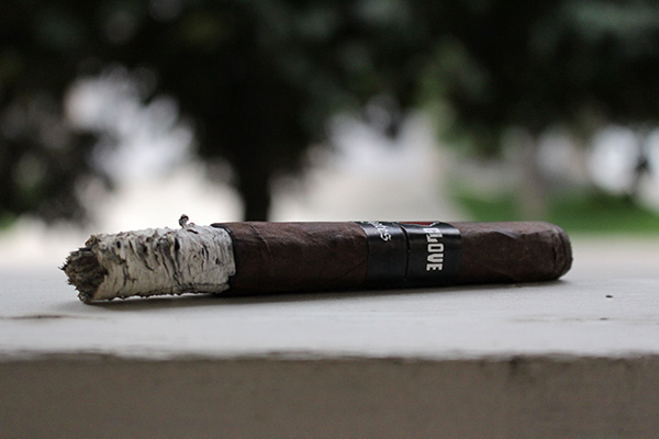 Surrogates Satin Glove cigar review and rating