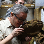 El Titan de Bronze raw tobacco aroma