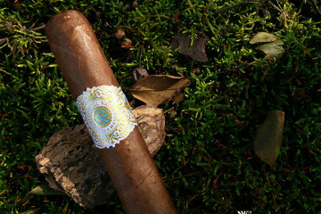Warped Cigars Flor Del Valle cigar review