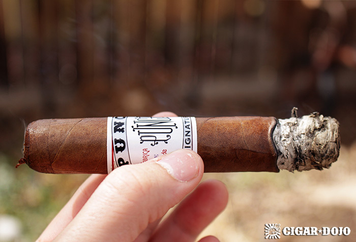 Punch Signature cigar review