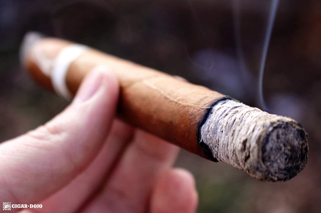 Illusione ~eccj~ 20th smoking cigar review