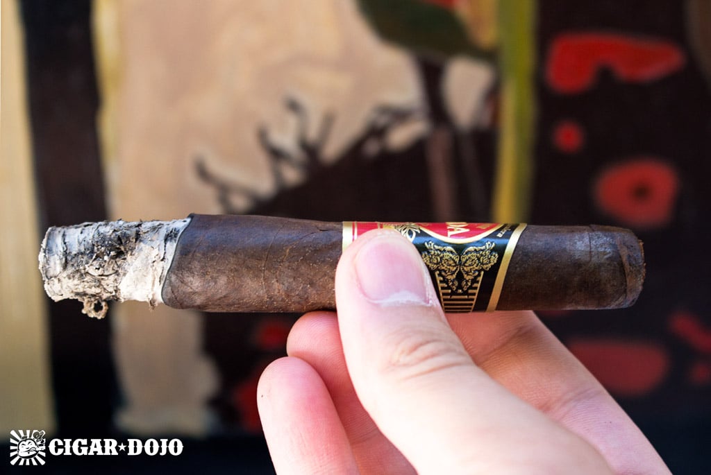 Eiroa The First 20 Years robusto cigar review