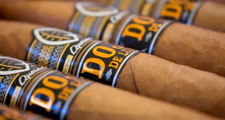 Quesada Dojo de Luxe cigars close up