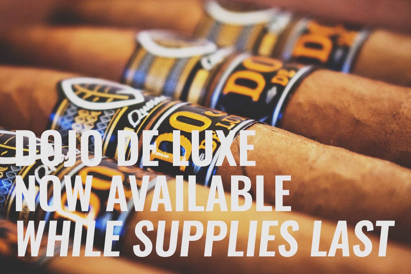 Quesada Dojo de Luxe cigars for sale