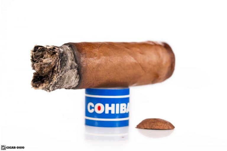 Cohiba Blue Robusto Cigar Review - Cigar Dojo