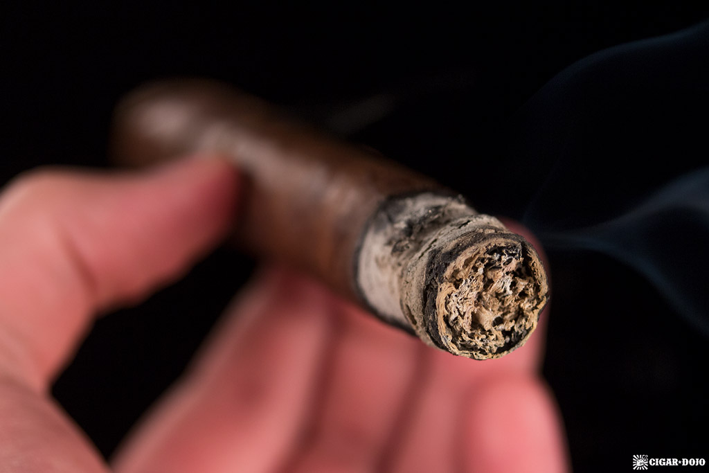 CAO Amazon Anaconda Toro cigar smoking