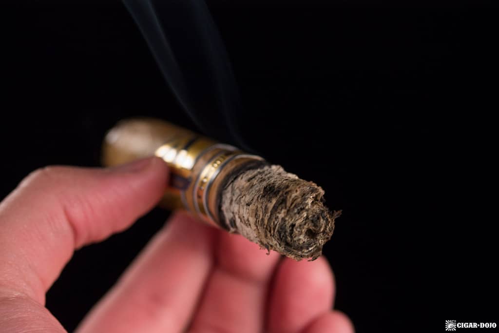 Protocol Themis Toro cigar ash