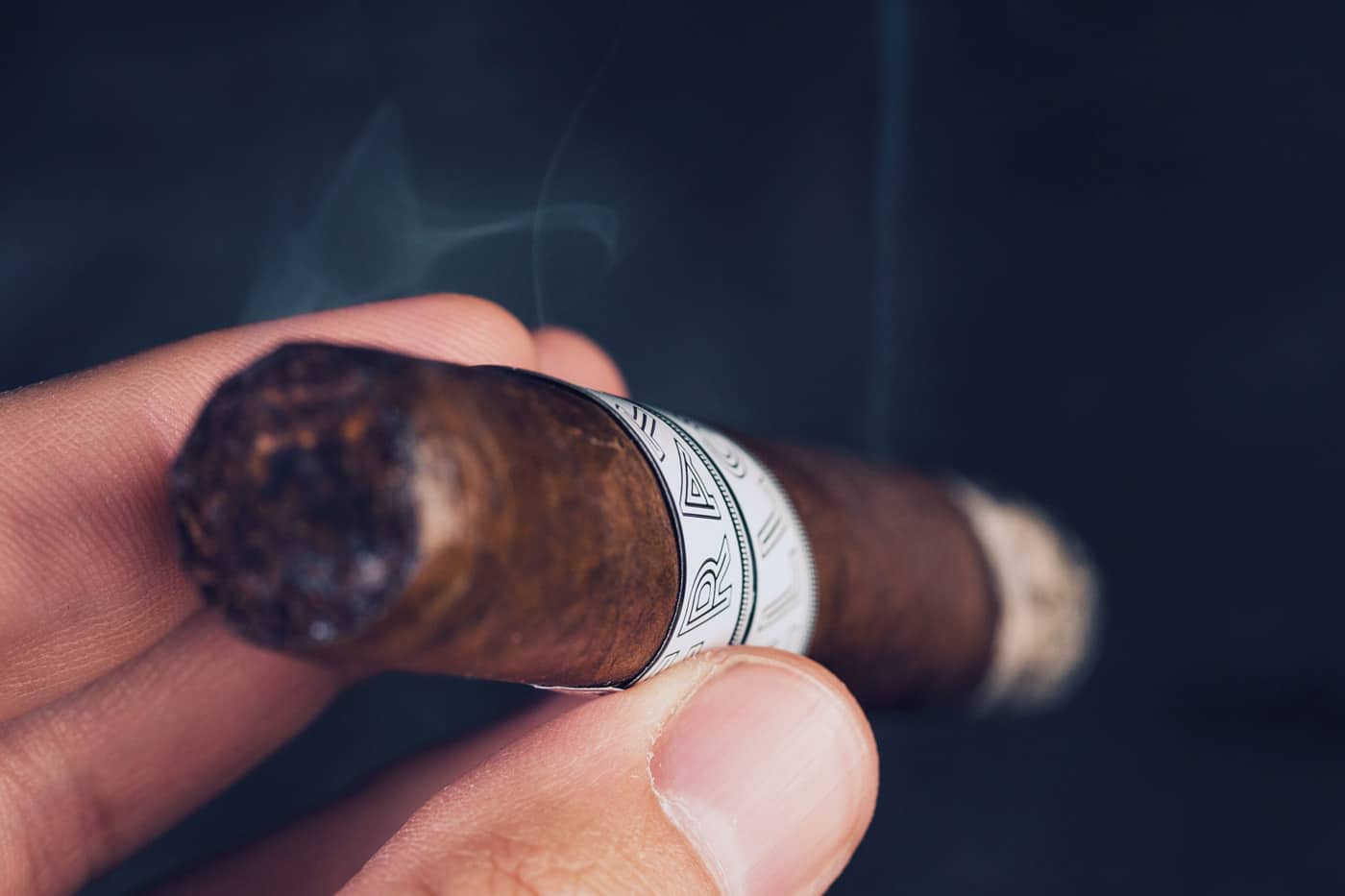 Fratello Navetta Discovery cigar review