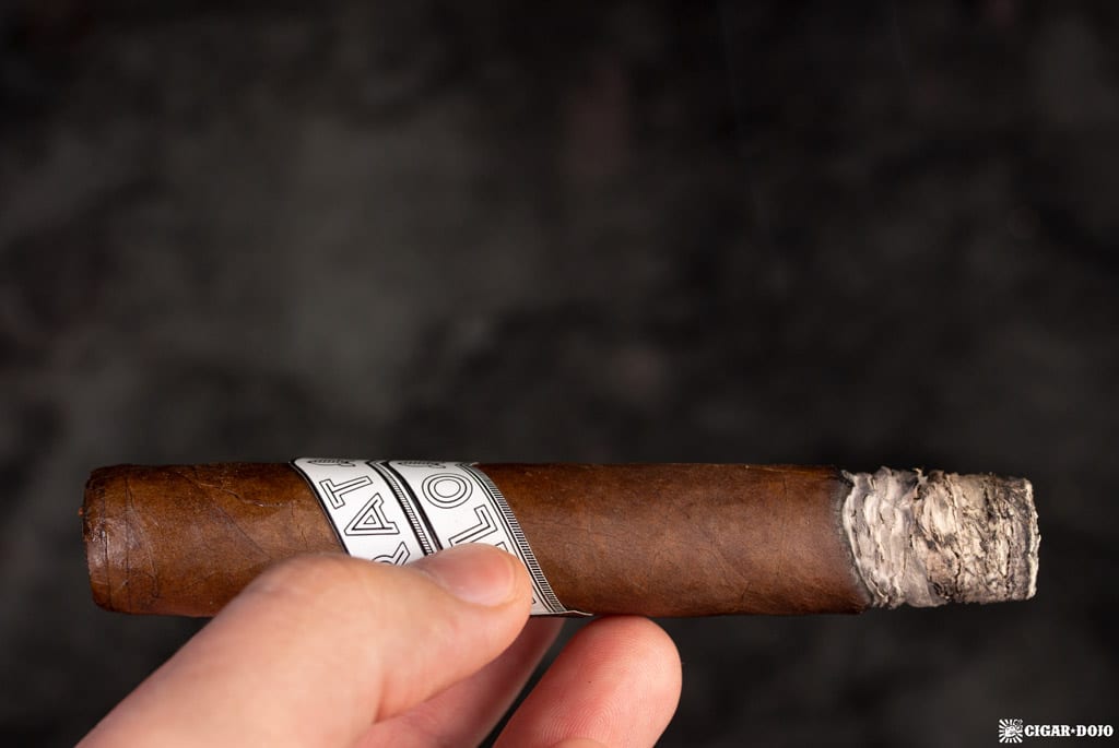 Fratello Navetta Robusto Discovery review