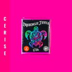 Psychedelic Turtle CERISE color