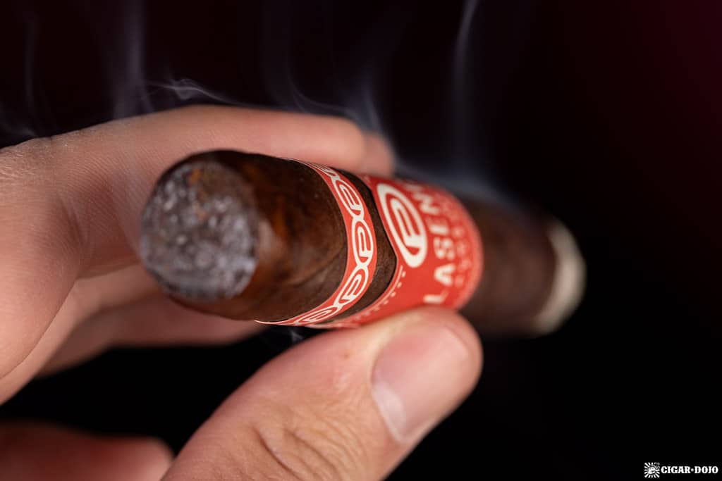 Plasencia Alma Del Fuego Candente cigar smoking