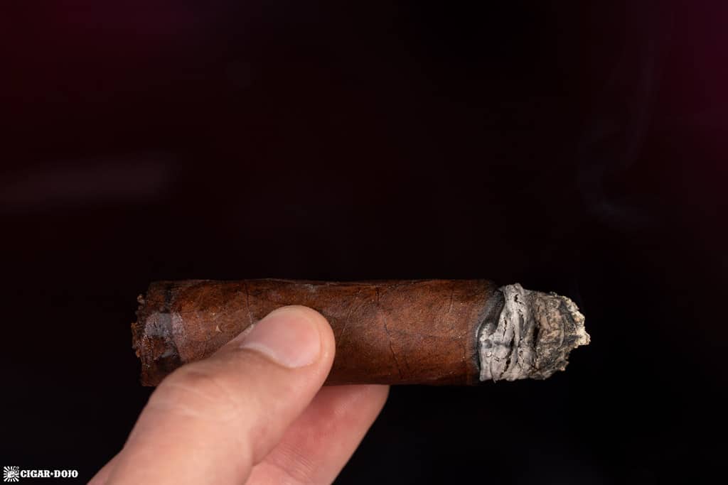 Cohiba Royale Toro cigar ash