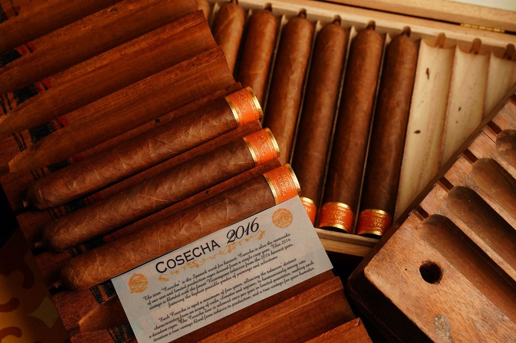 Favilli S.A. Cosecha 2016 cigars