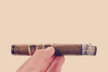 J.C. Newman Angel Cuesta Toro cigar review