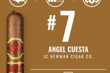 J.C. Newman Angel Cuesta No. 7 Cigar of the Year 2023